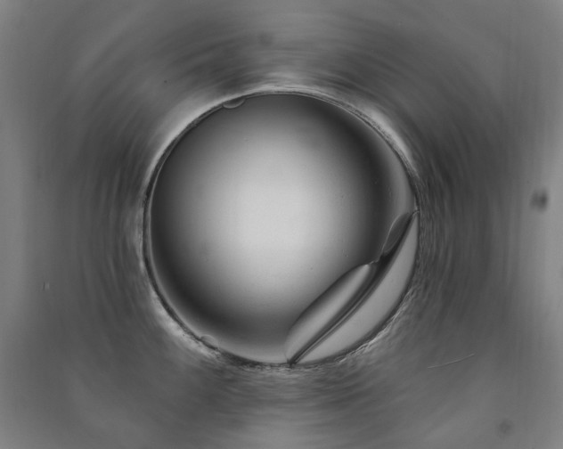 X0000091471100200708161354