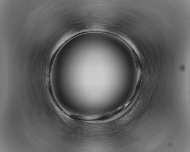 X0000091471101200708161354