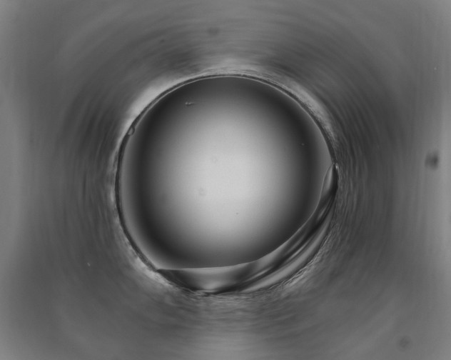 X0000091471102200708161354