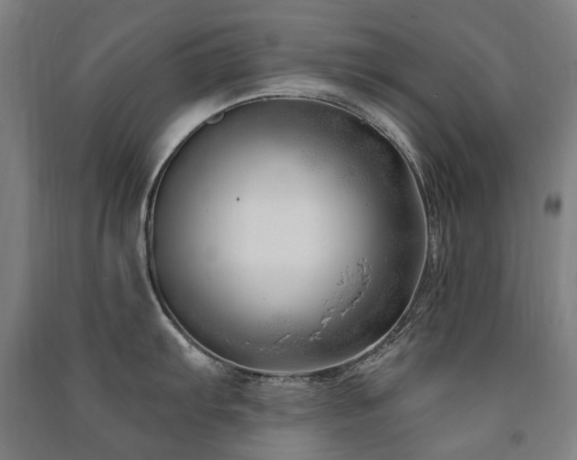 X0000091471103200708161354