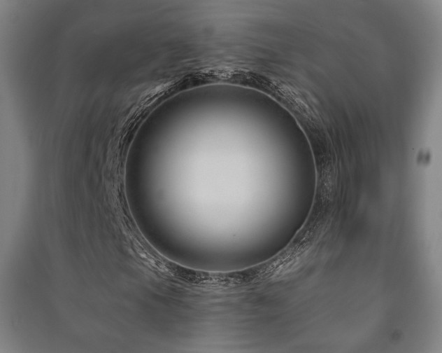 X0000091471105200708161353