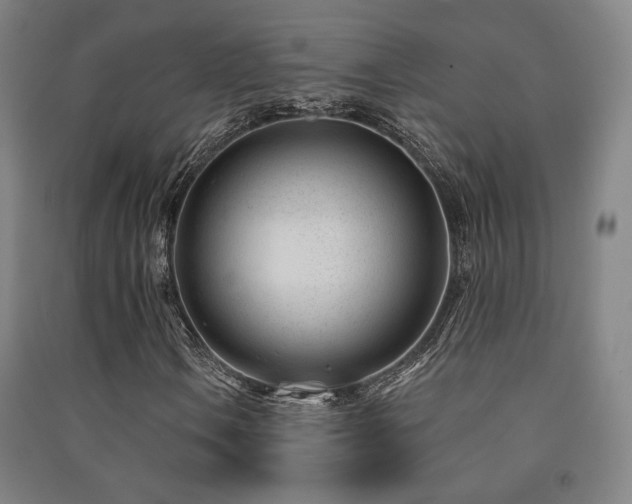 X0000091471106200708161353