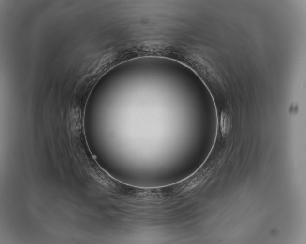 X0000091471107200708161353