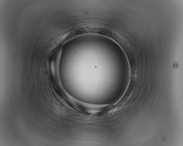 X0000091471108200708161353