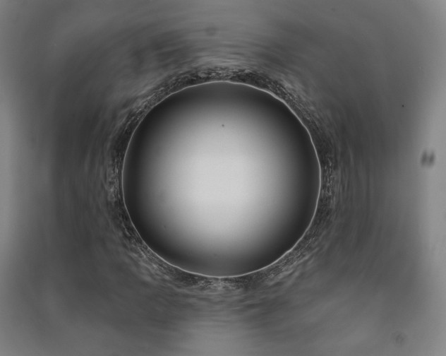 X0000091471109200708161353