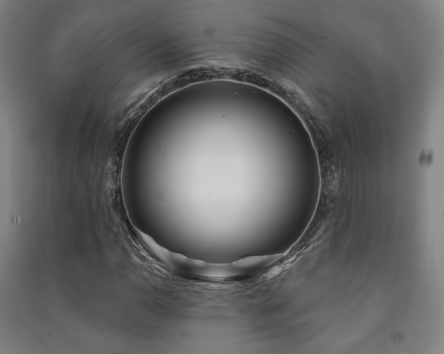 X0000091471110200708161353