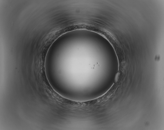 X0000091471111200708161353