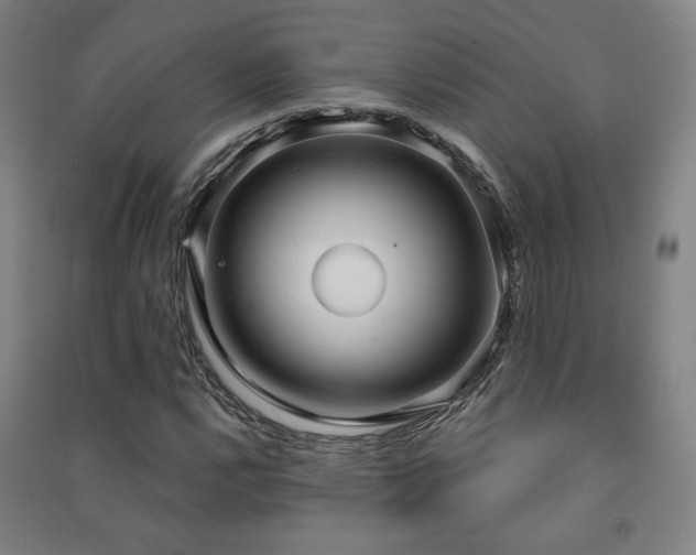 X0000091471112200708161353