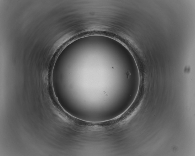 X0000091471113200708161353