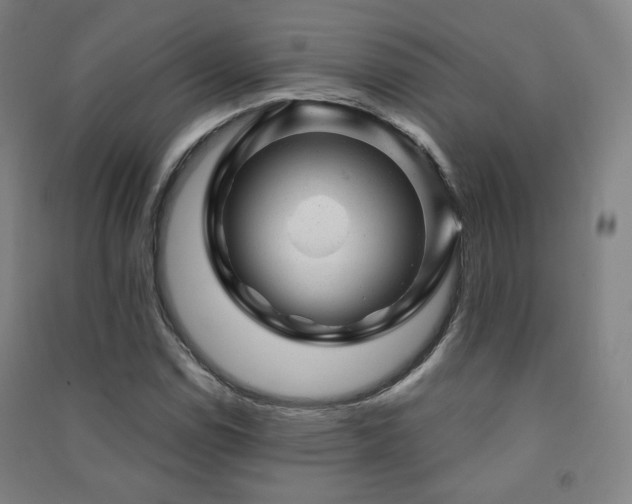 X0000091471114200708161353