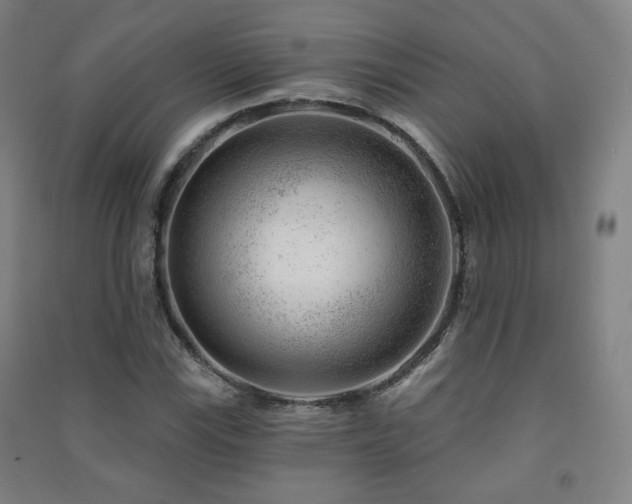 X0000091471115200708161353