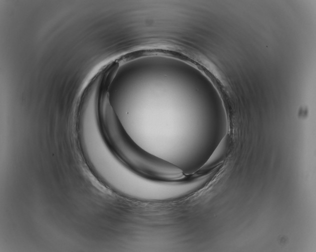 X0000091471116200708161353