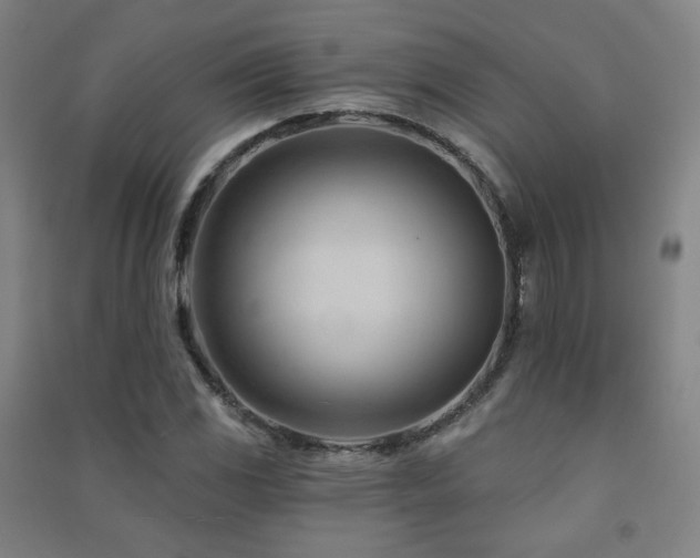 X0000091471117200708161353
