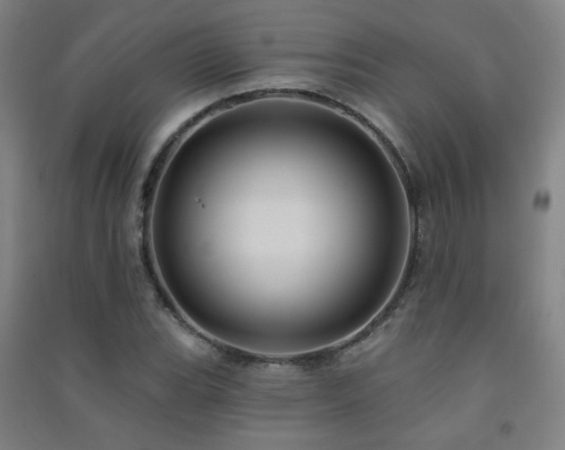 X0000091471119200708161353