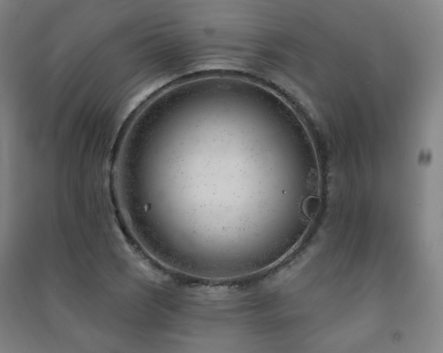 X0000091471121200708161353