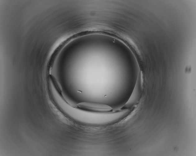 X0000091471122200708161353