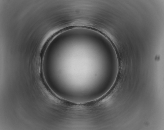 X0000091471123200708161353
