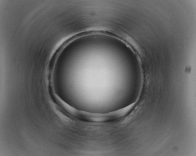 X0000091471124200708161353