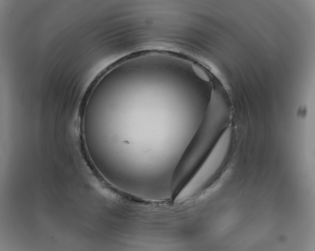 X0000091471125200708161353