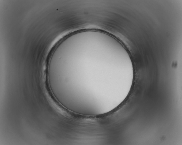 X0000091471126200708161353