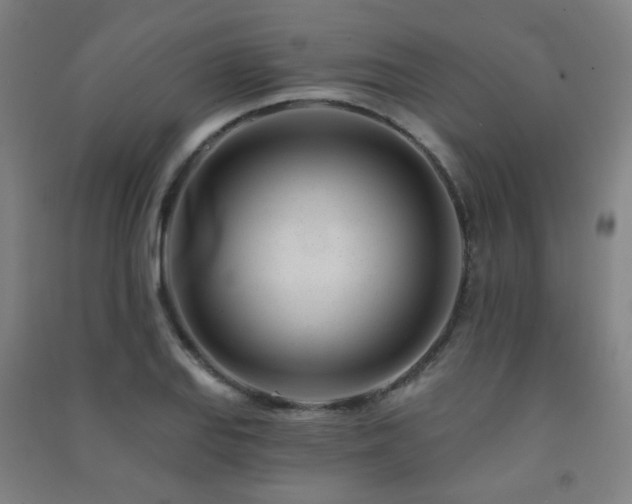 X0000091471127200708161353