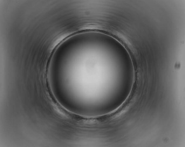 X0000091471129200708161353