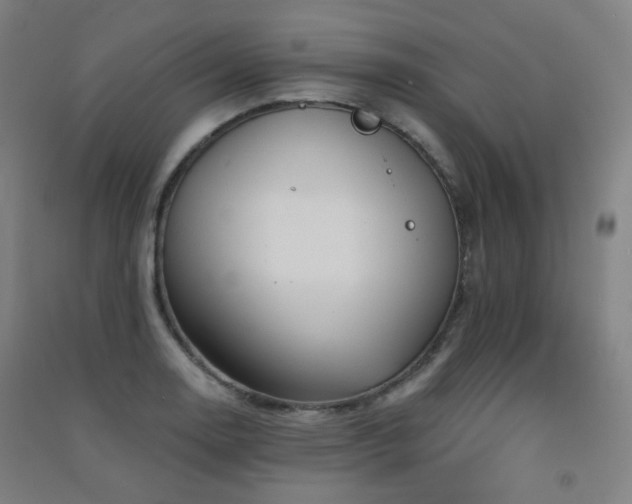 X0000091471130200708161353