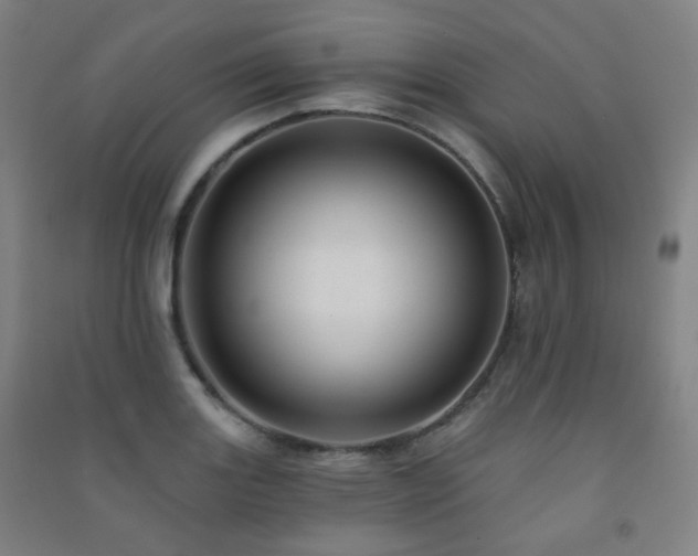 X0000091471131200708161353