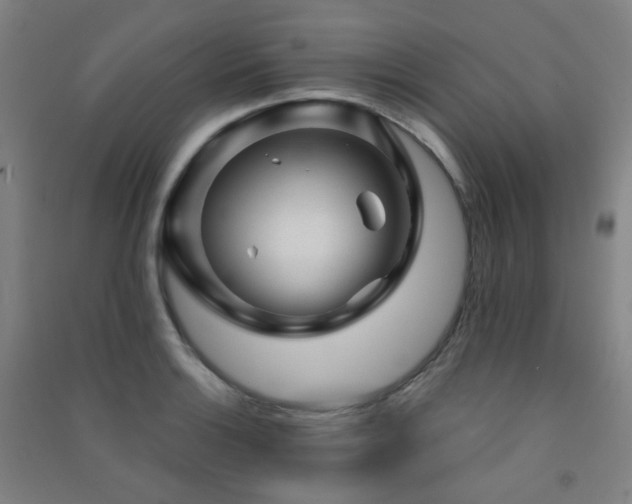 X0000091471132200708161353