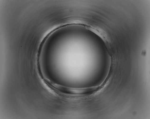 X0000091471134200708161353