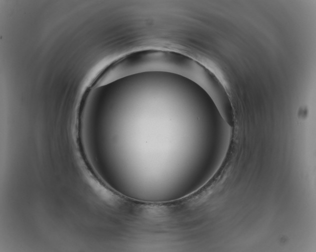 X0000091471136200708161353
