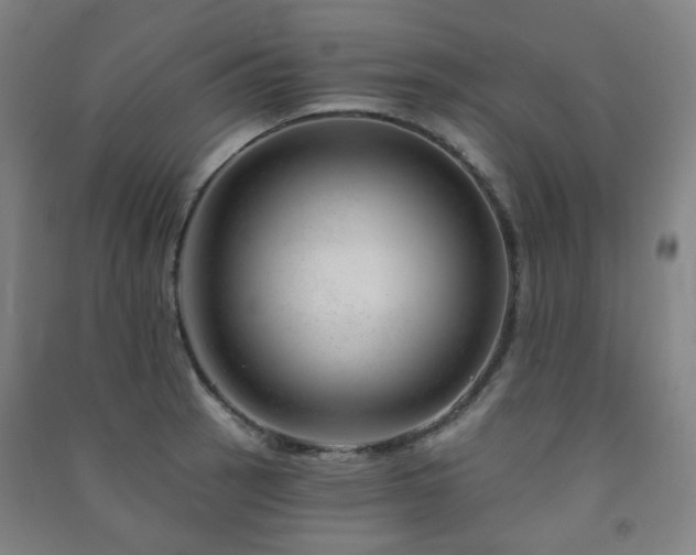 X0000091471137200708161353