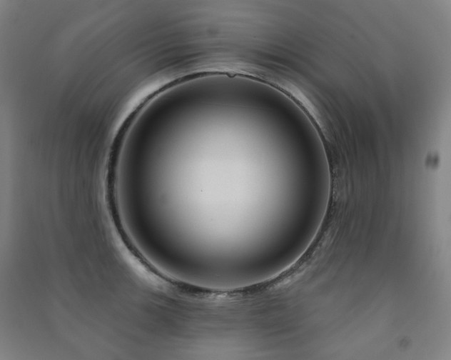 X0000091471139200708161354