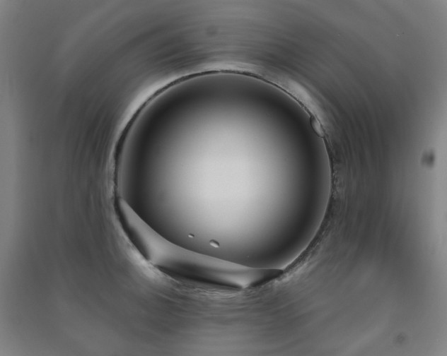 X0000091471140200708161354