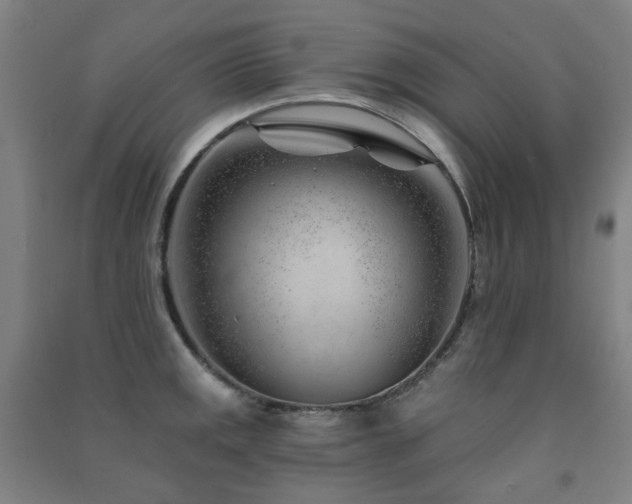 X0000091471141200708161354