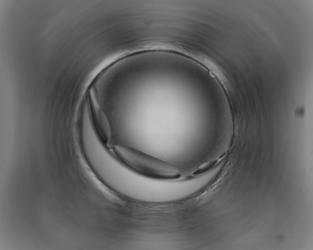 X0000091471142200708161354
