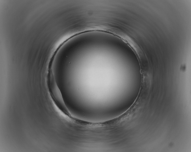 X0000091471143200708161354