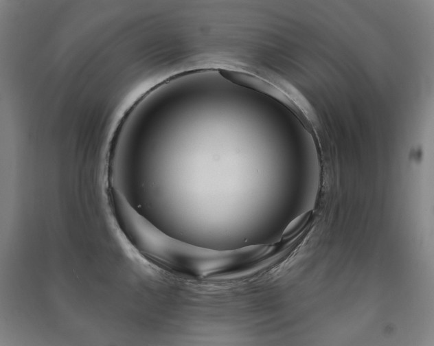 X0000091471144200708161354