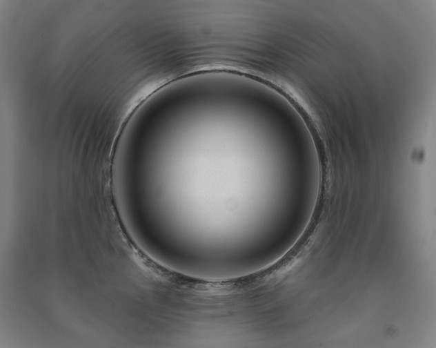 X0000091471145200708161354