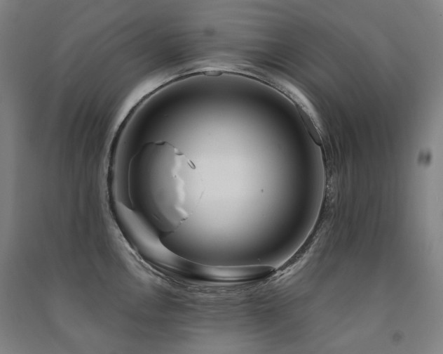 X0000091471146200708161354