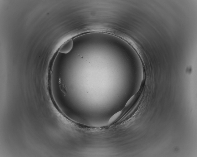 X0000091471147200708161354