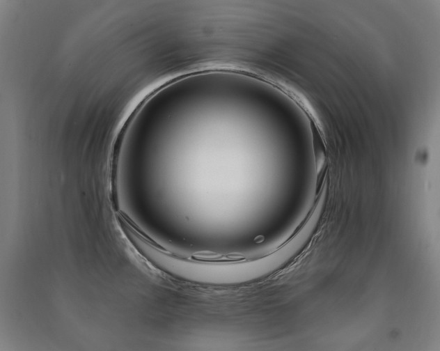 X0000091471148200708161354