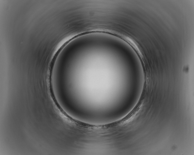 X0000091471149200708161354