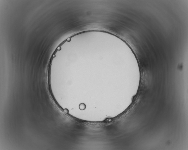 X0000091471150200708161354