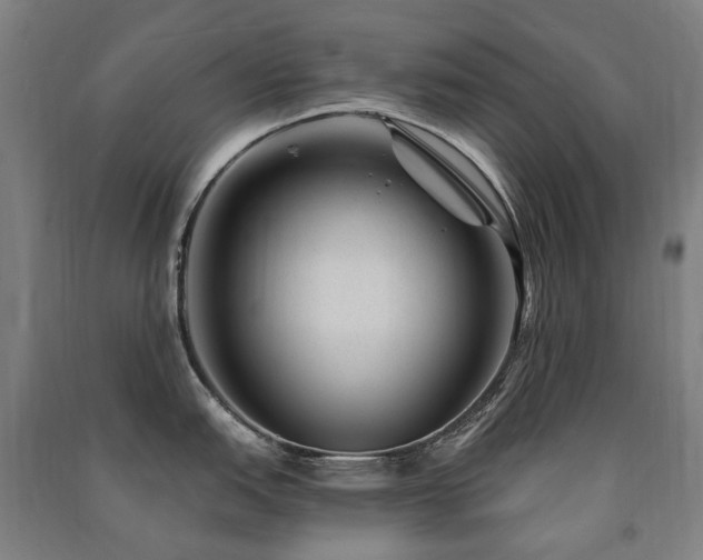 X0000091471151200708161354