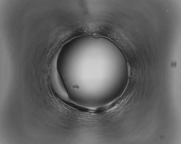 X0000091471153200708161353