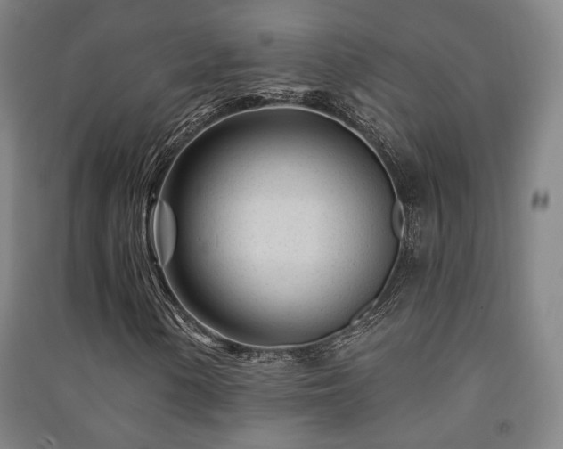 X0000091471154200708161353