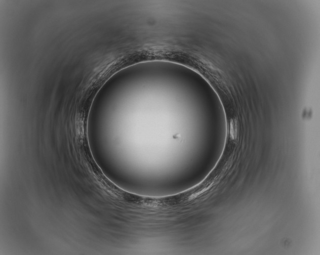 X0000091471155200708161353