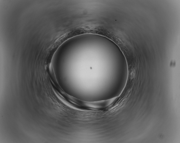 X0000091471156200708161353