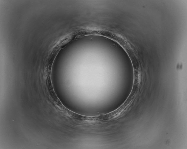 X0000091471157200708161353